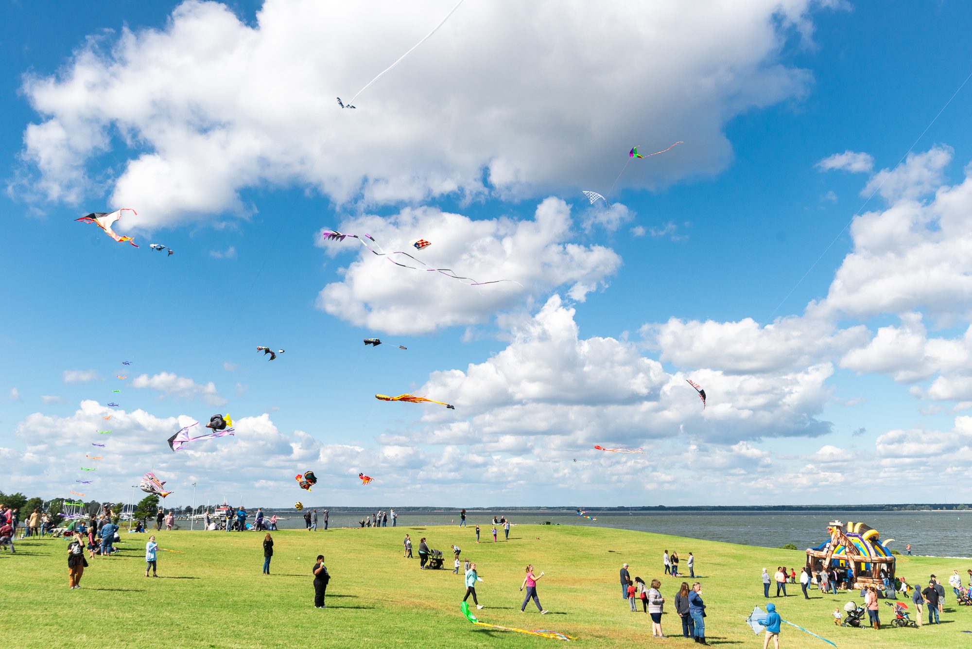 Sailwinds Park & the kite festival