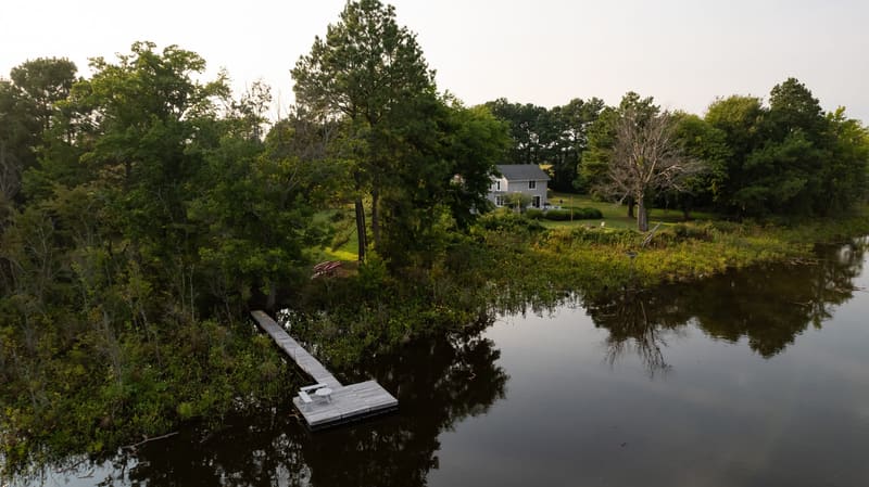 The dock and shoreline from above