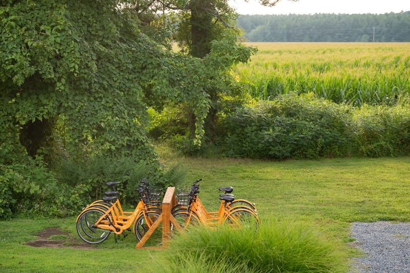 The bikes parked on the lawn