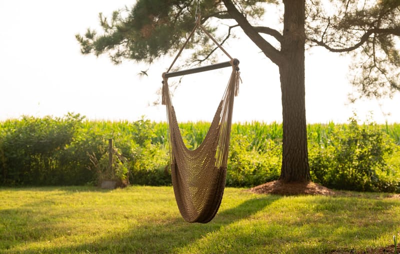Hanging hammock chair under a tree on the lawn